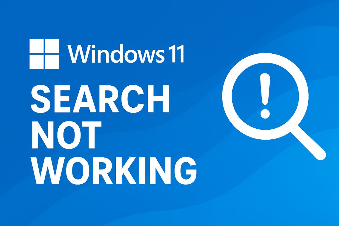 Windows 11 Search Not Working? How to Fix It