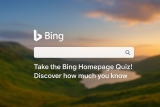 How to Play Bing Homepage Quiz? [2025 Guide]