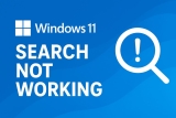 Windows 11 Search Not Working? How to Fix It