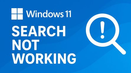 Windows 11 Search Not Working? How to Fix It